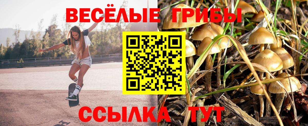 Галлюциногенные грибы MAGIC MUSHROOMS Выборг