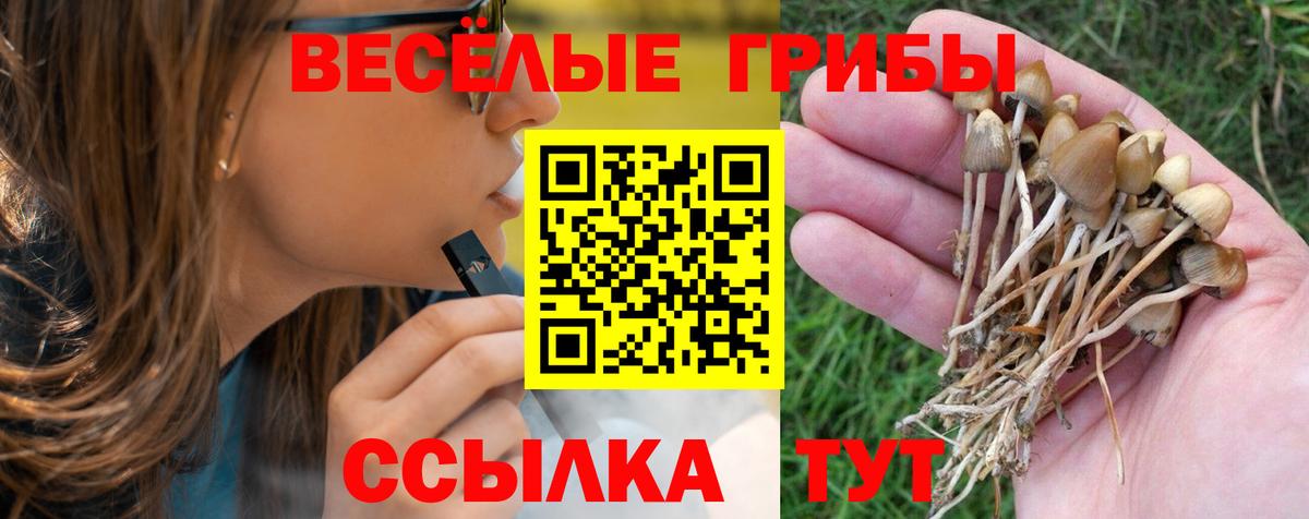 наркотики  Вход с VPN  Выборг  Псилоцибиновые грибы Psilocybine cubensis 