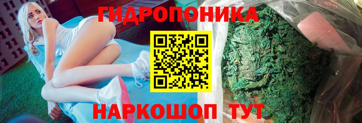 Шишки марихуана OG Kush Выборг